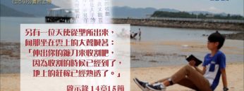 創世電視《靈情日記》第254集 – 公義的上帝