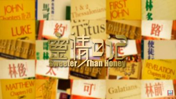 靈情日記—新約