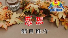 11月通訊—感恩-節目推介—1800x1200_web