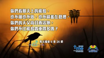 馬太福音6章26節 (文 #81) Compress to M