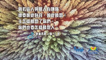 歌羅西書3篇13節 (文 #98) Compress to M