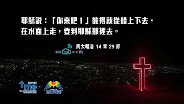 馬太福音14章29節 (文 #98) Compress to M