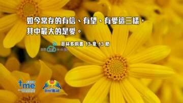 哥林多前書13章13節 (文 #99) Compress to M