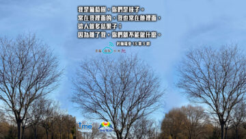 約翰福音-15-章-5-節