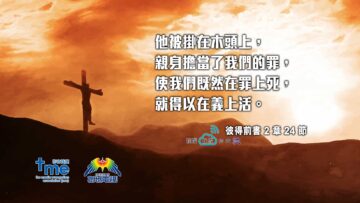 彼得前書-2-章-24-節