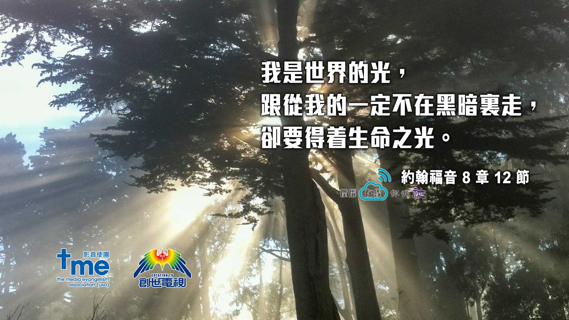 約翰福音-8-章-12-節