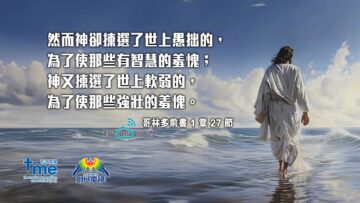 #187_1-哥林多前書-1-章-27-節