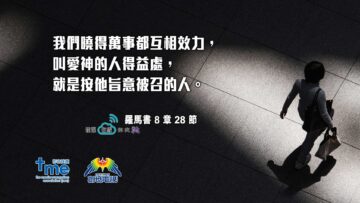 羅馬書-8-章-28-節