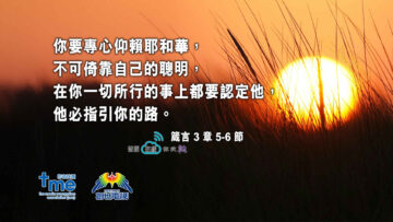 #206_1 箴言 3 章 5-6 節