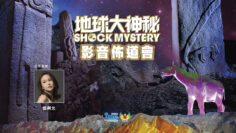 ShockMystery2025-SF