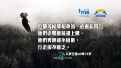 以賽亞書40章31節