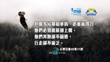 以賽亞書40章31節