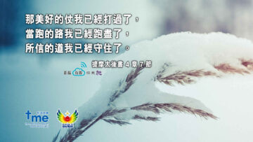 提摩太後書 4 章 7 節