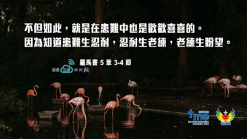 羅馬書 5 章 3-4 節