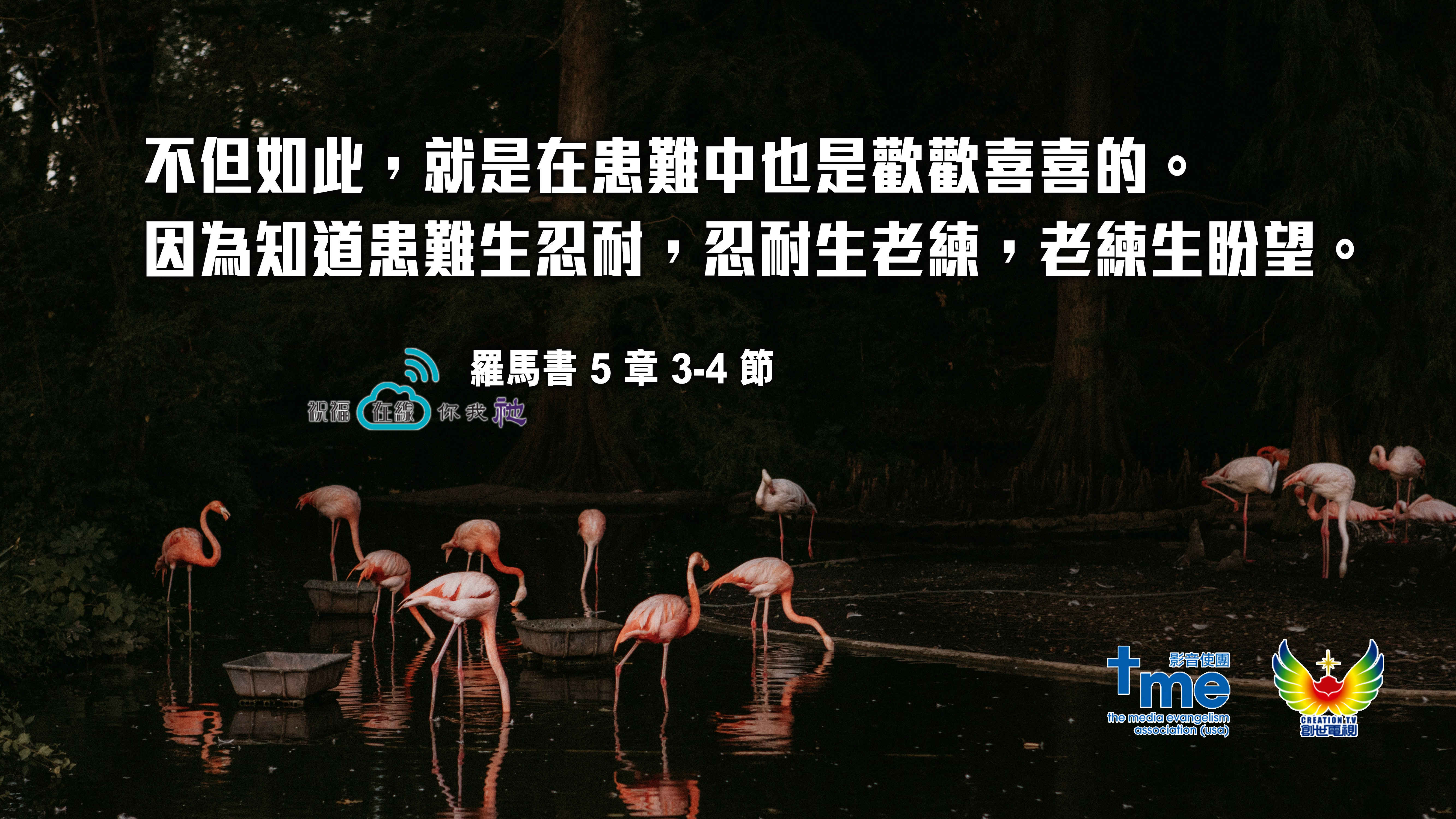 羅馬書 5 章 3-4 節